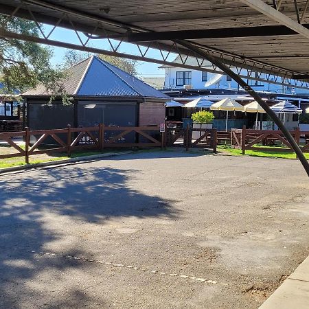 Palm And Pawn Motor Inn Wagga Wagga Kültér fotó